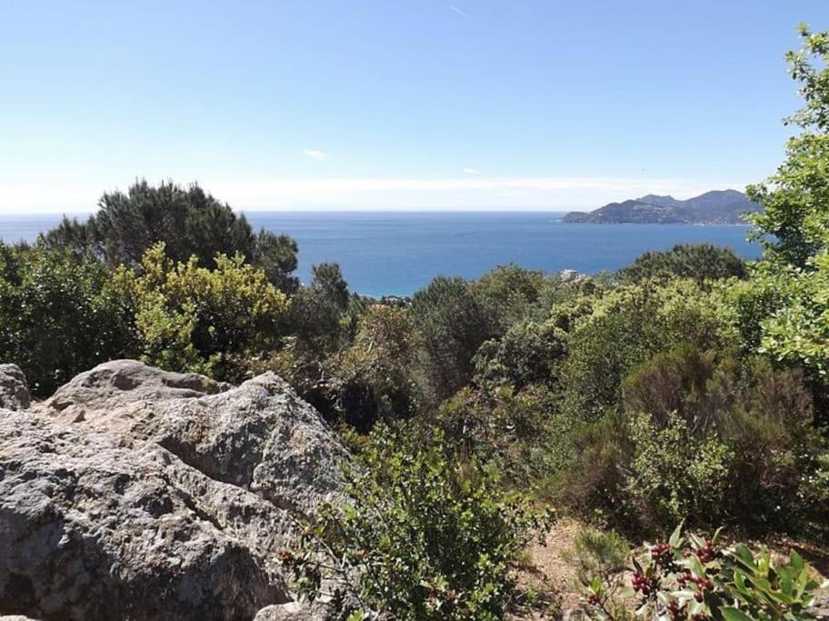 Studio Croix Des Gardes Palais Plages Cannes Bagian luar foto