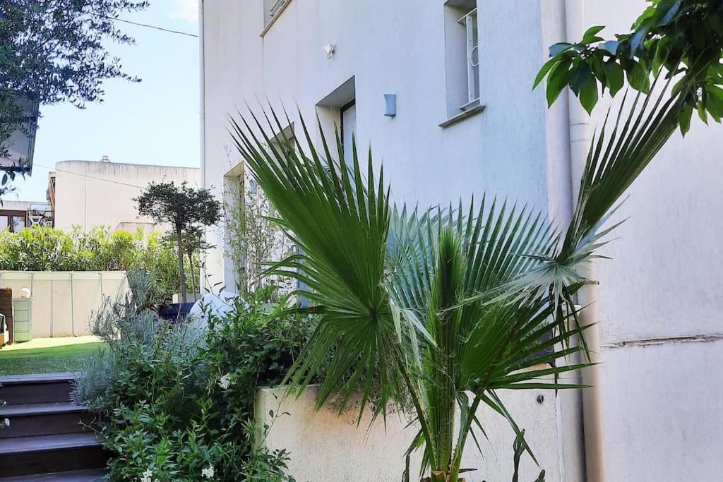 Studio Croix Des Gardes Palais Plages Cannes Bagian luar foto